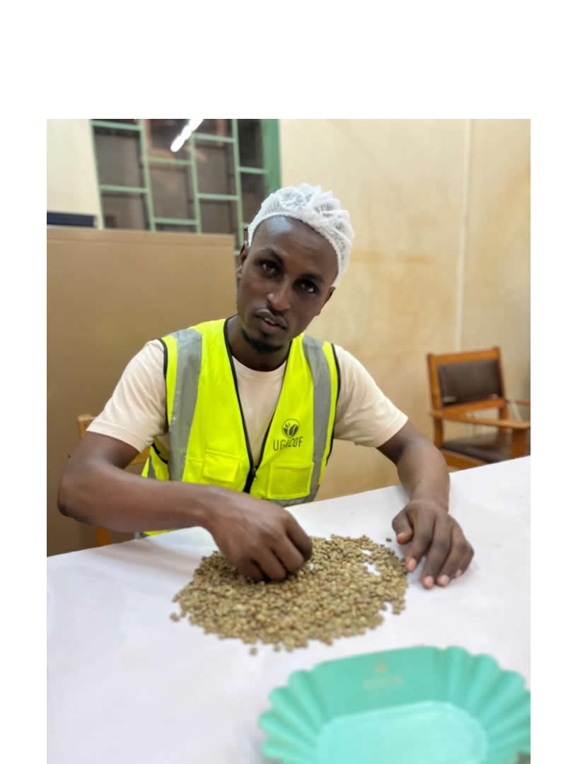 Nkundizana Epaphra Muhammed sorts the coffee beans before starting the production. (Courtesy Photo)