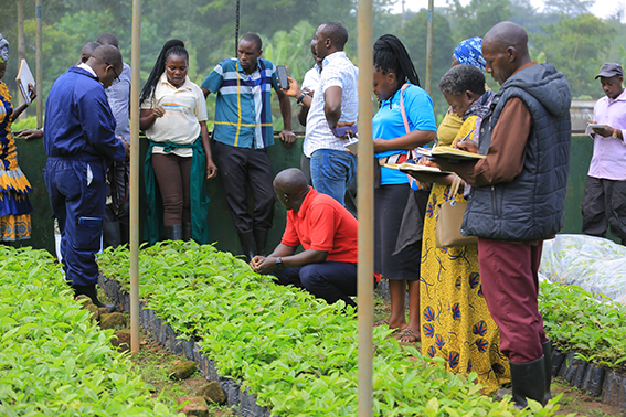 Farmers receiving training on how to set up a nursery bed