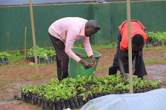 Participants during the training