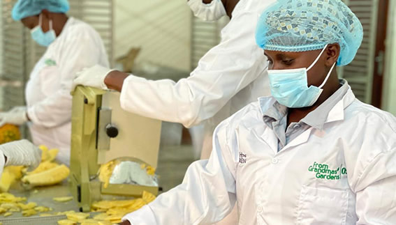 Workers at the Grandmas Gardens’ production unit